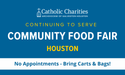 Community Food Distribution (Houston)