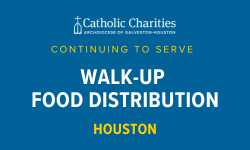 Walk-Up Distribution (Houston)