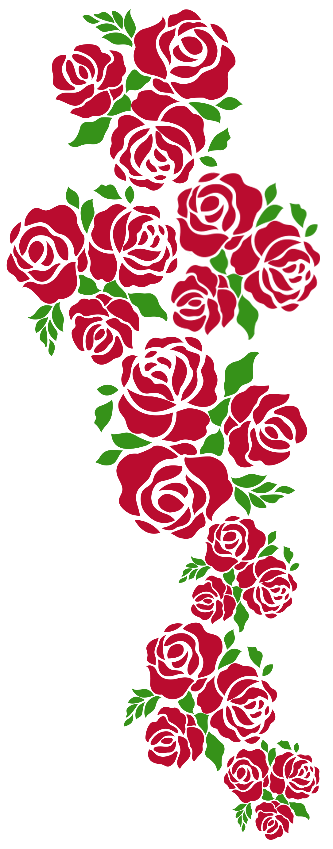 Roses web