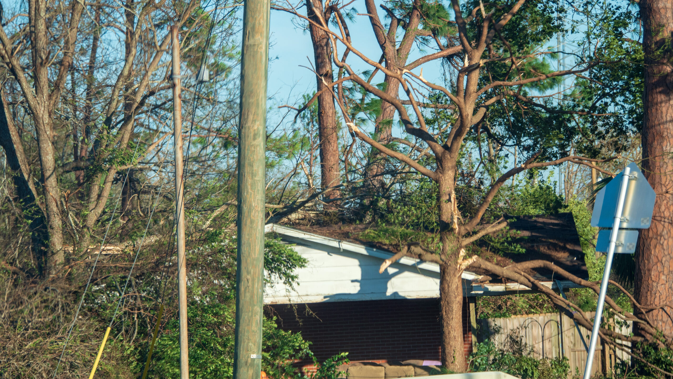 The tree's fell on the houses